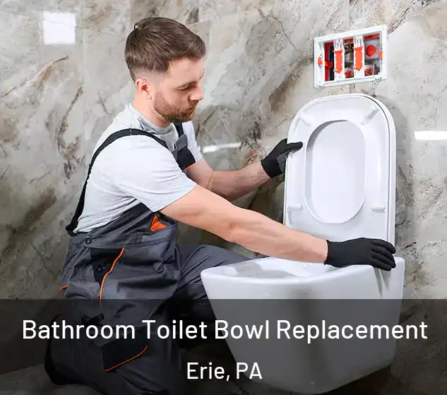  Bathroom Toilet Bowl Replacement Erie, PA