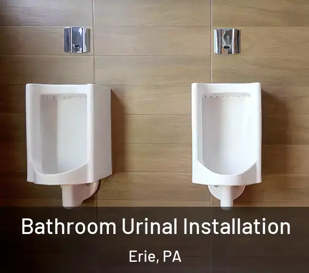  Bathroom Urinal Installation Erie, PA