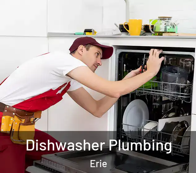  Dishwasher Plumbing Erie