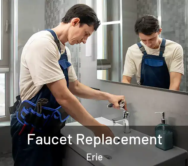  Faucet Replacement Erie