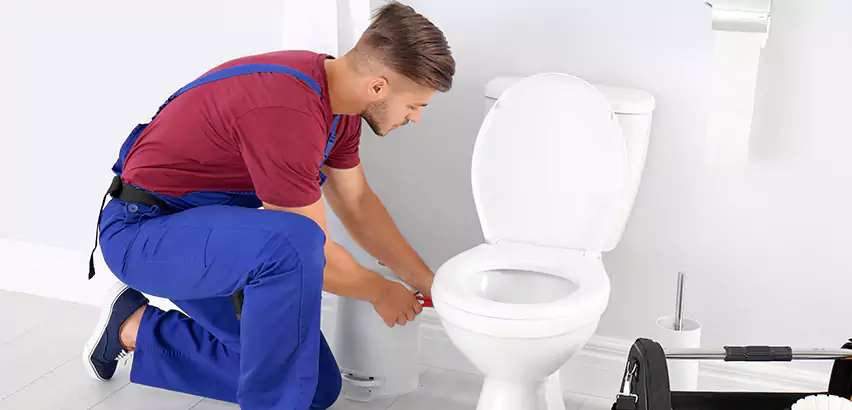 Scope of Bathroom Toilet Bowl Replacement Services in Erie, PA