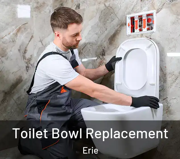  Toilet Bowl Replacement Erie