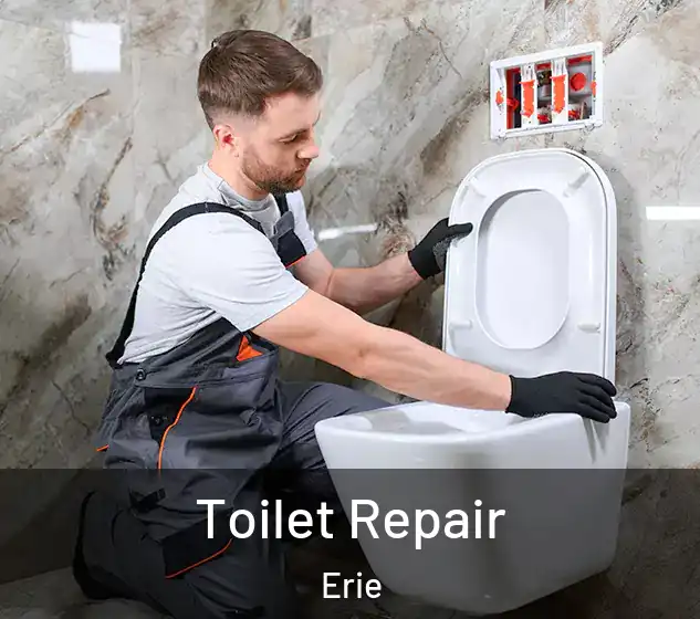  Toilet Repair Erie