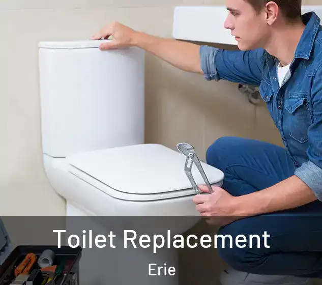  Toilet Replacement Erie