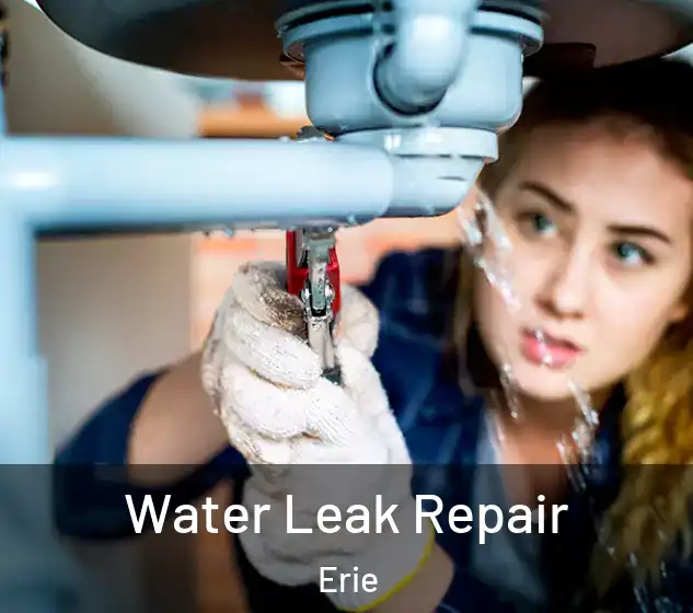  Water Leak Repair Erie